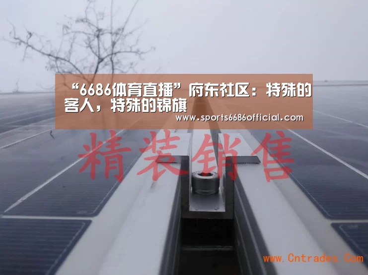 “6686体育直播”府东社区:特殊的客人,特殊的锦旗(图1) 6686体育
